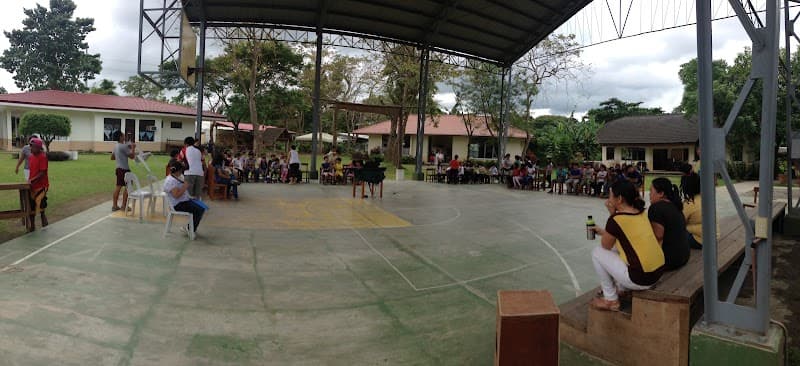 Acacia Waldorf School photo 1