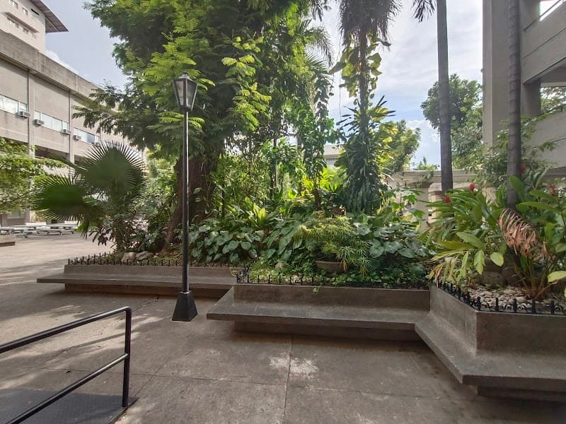 Angeles University Foundation photo 5