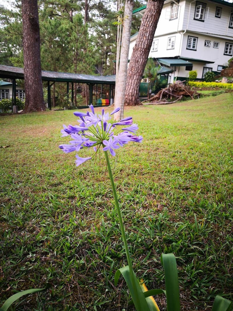 Brent International School Baguio photo 4