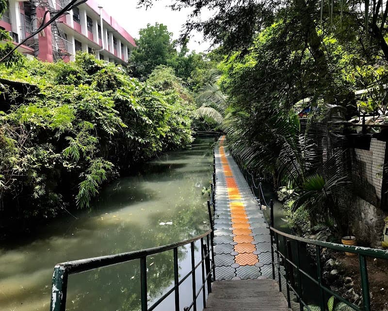 Centro Escolar University photo 5