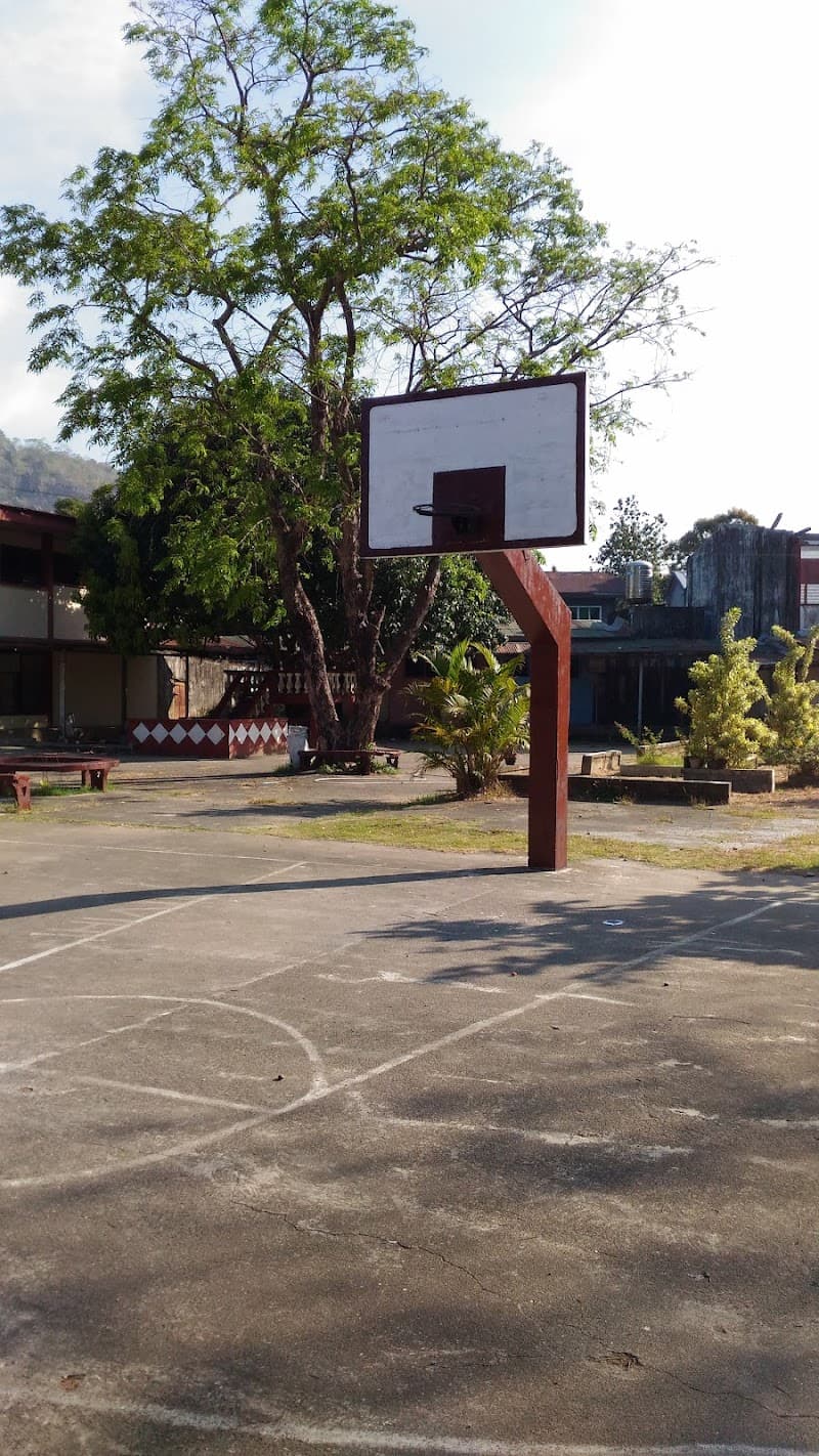 Christ the King Catholic School photo 1