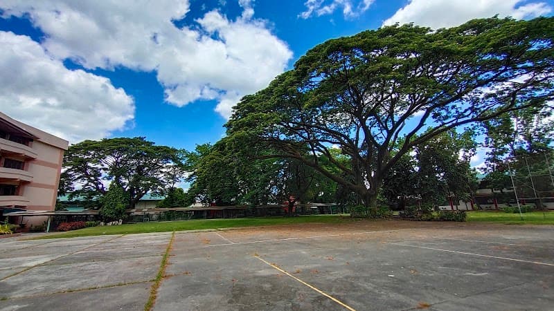 College of the Holy Spirit of Tarlac (CHST) photo 2