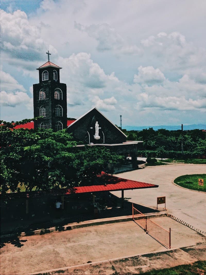 College of the Immaculate Conception photo 2