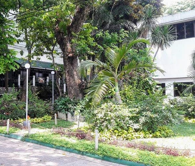 De La Salle Araneta University photo 4