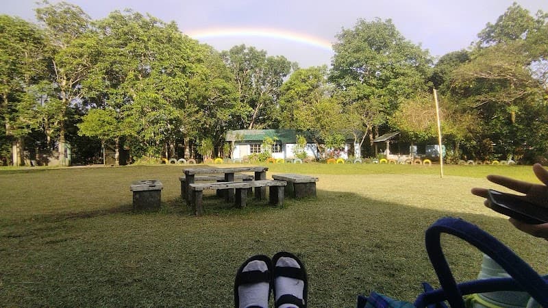 Divine Healer Academy of Sorsogon Inc. photo 1