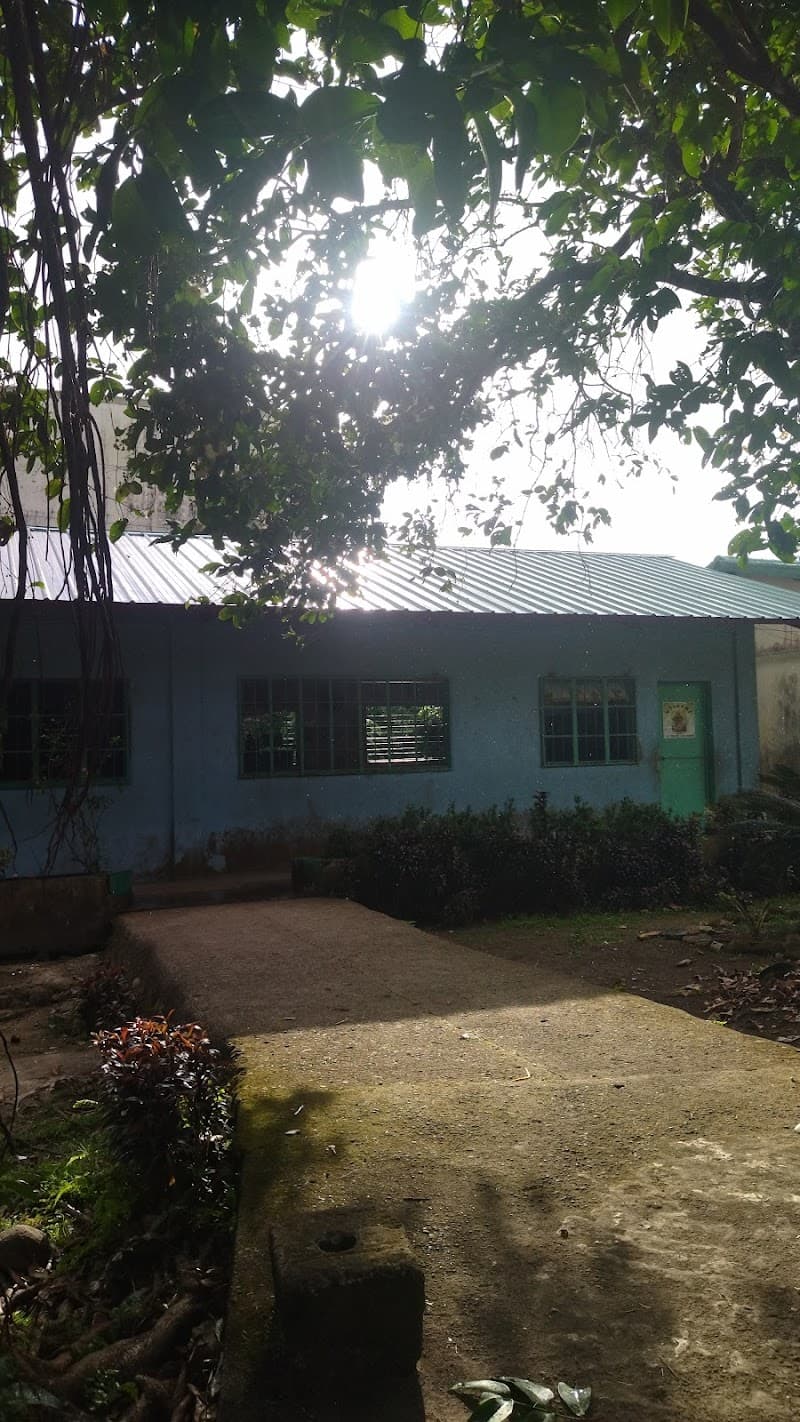 Divine Healer Academy of Sorsogon Inc. photo 2