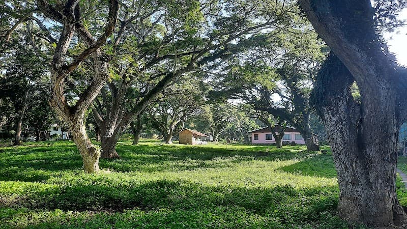 Ebenezer Bible College and Seminary photo 1