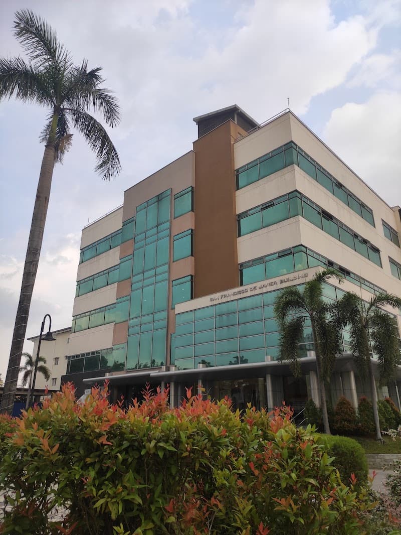 Holy Angel University photo 3