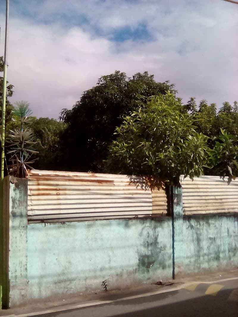 Holy Trinity Academy of Malolos photo 4