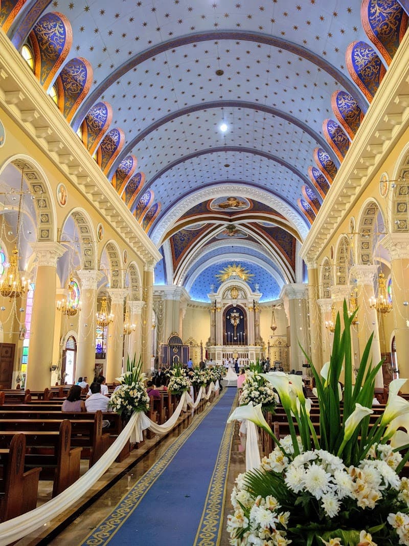 Immaculate Conception Cathedral School photo 1