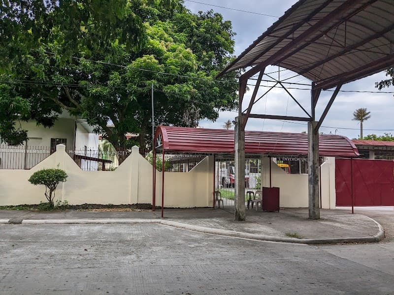 Manuel S. Enverga University Foundation photo 5