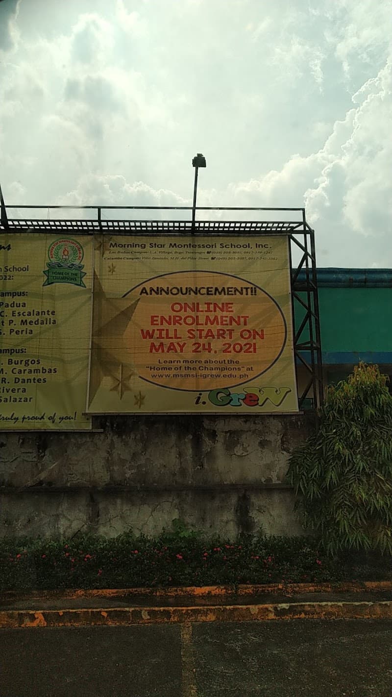 Morning Star Montessori School, Inc photo 2