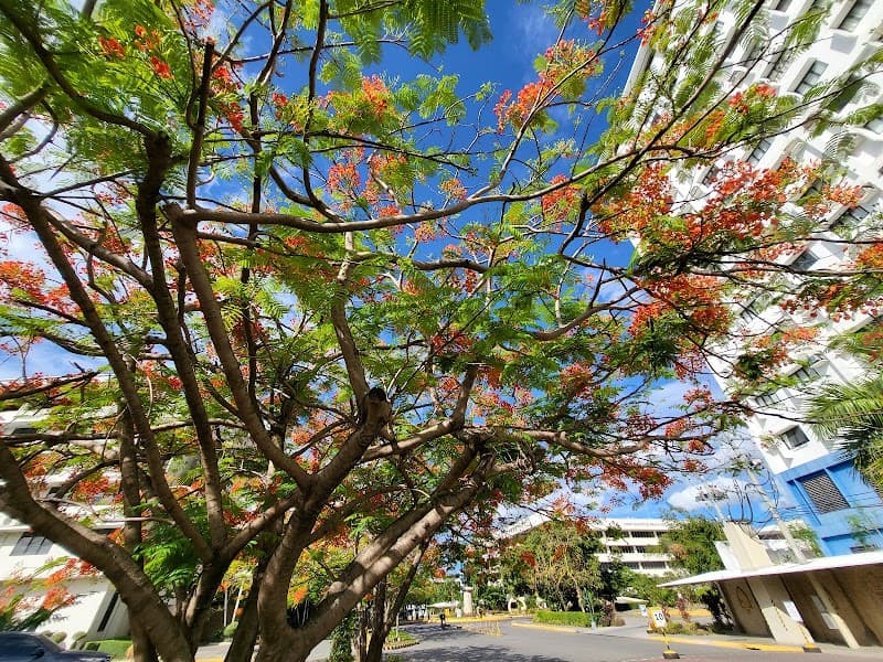 Sacred Heart School - Ateneo de Cebu photo 2