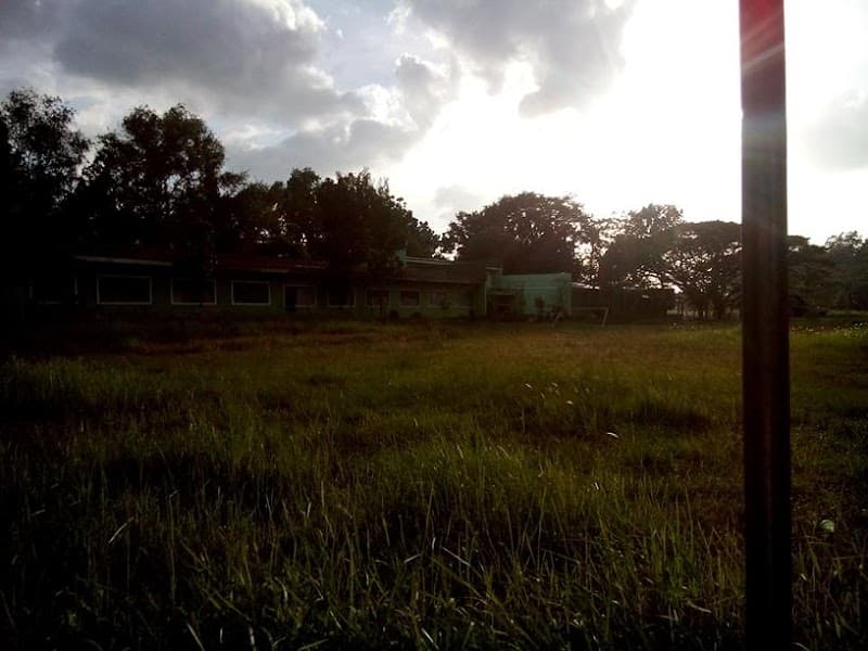 Saint Benilde School photo 2