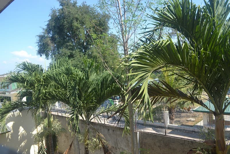 Santiago Cultural Institute photo 2