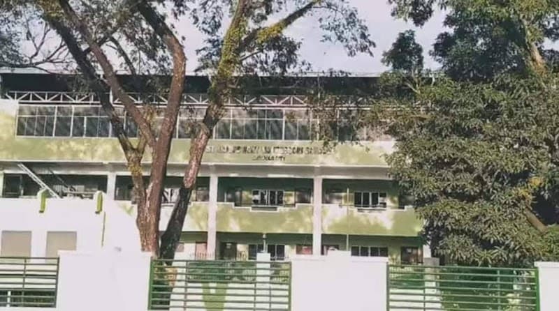 St. John's Wort Montessori School photo 5