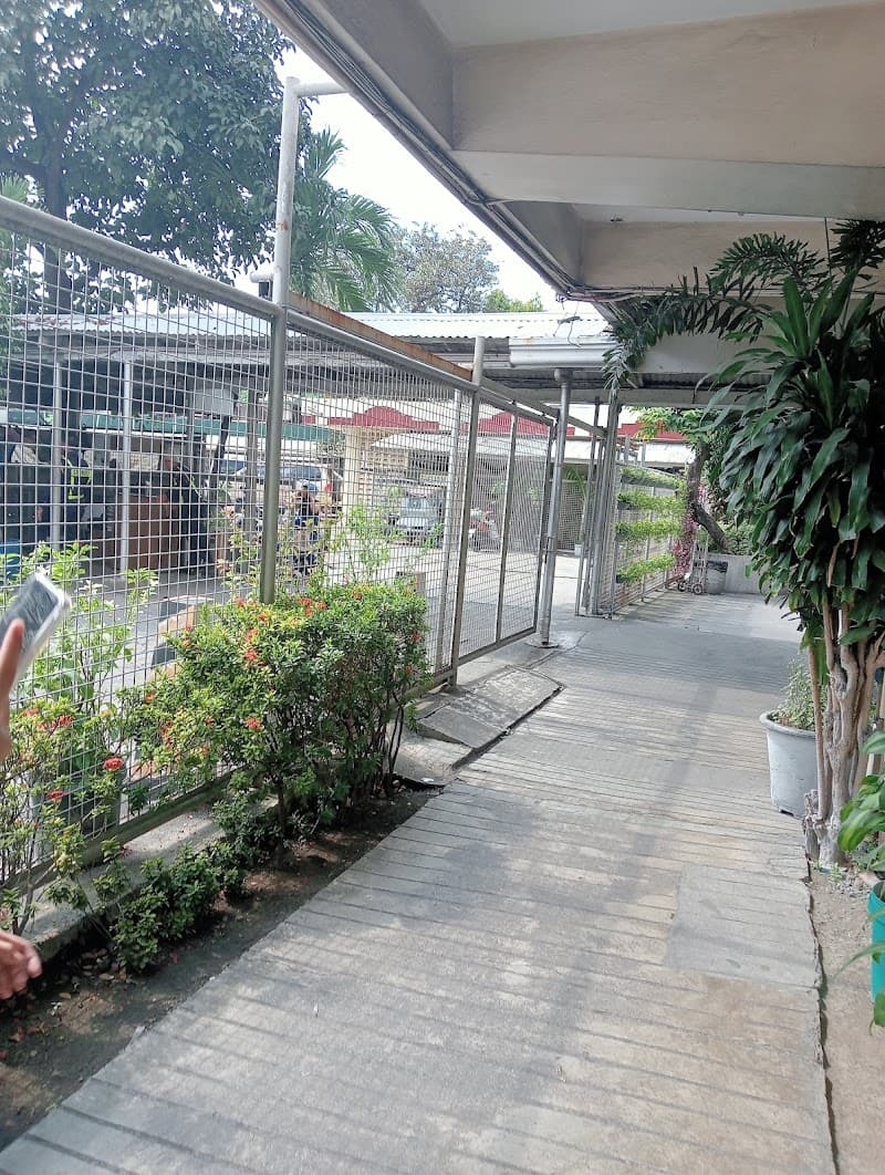 St. Louis College Valenzuela photo 4