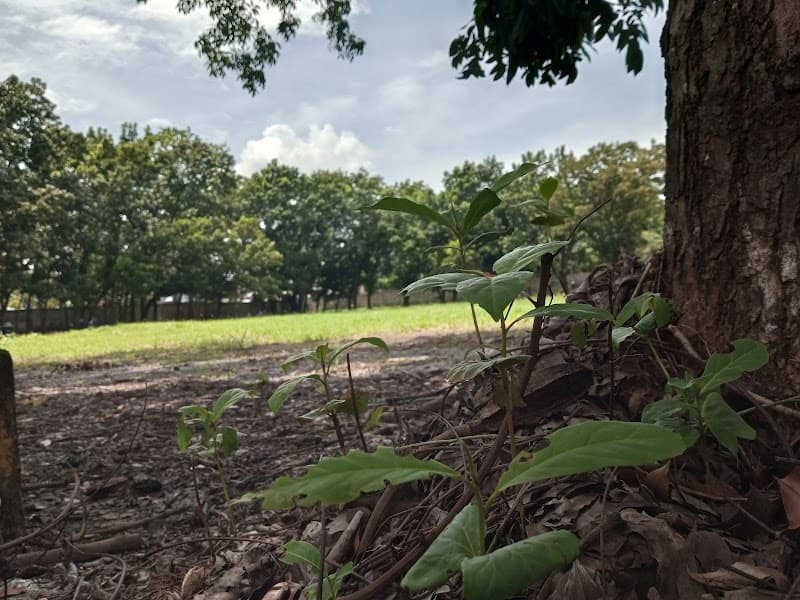 St. Mary's Academy of Carmen photo 3