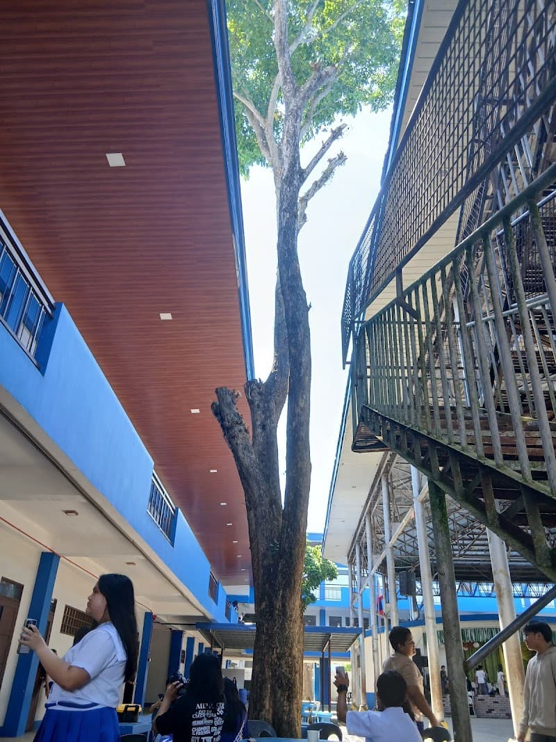 St. Vincent's College Incorporated - Basic Education Campus photo 4