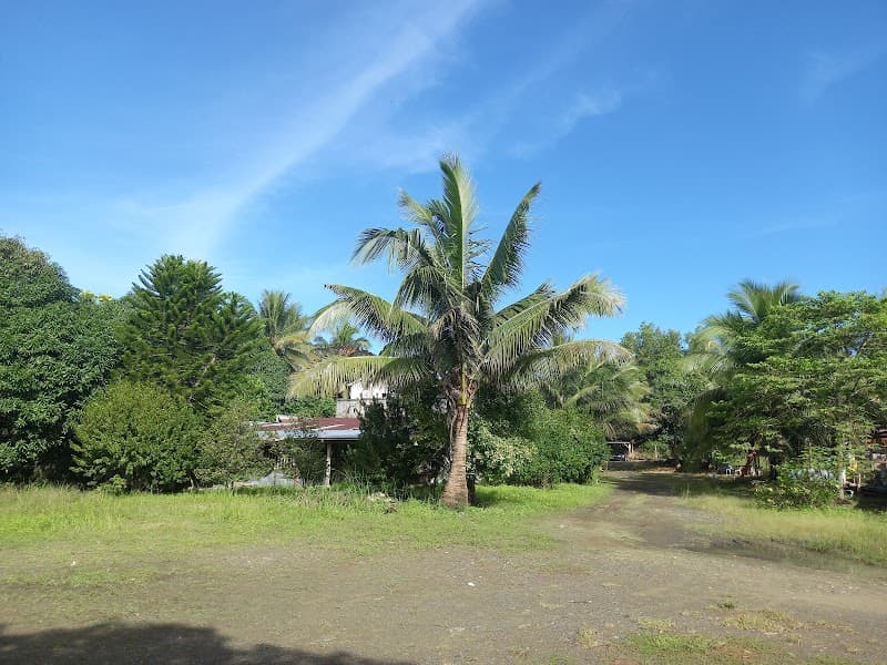 Sunrise Christian College Foundation of the Philippines photo 3