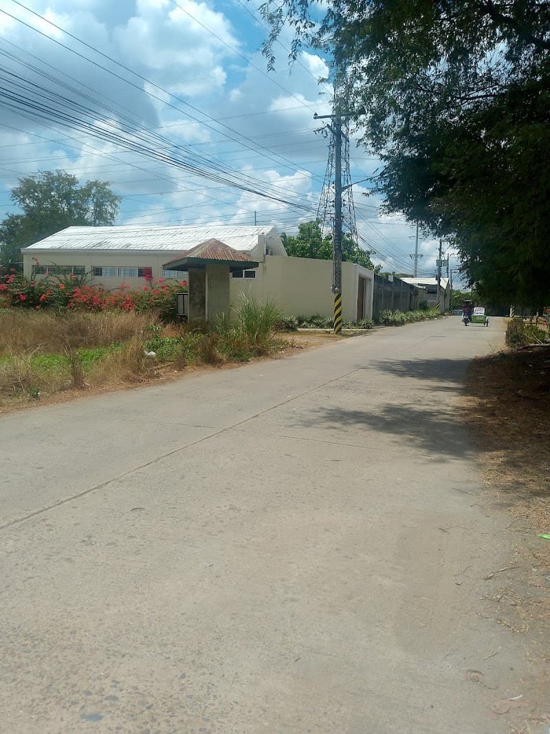 Tarlac Montessori School photo 4