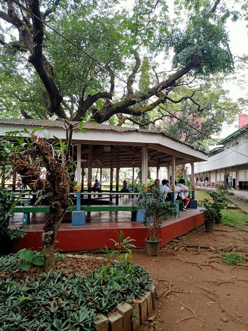 University of the East Caloocan photo 3