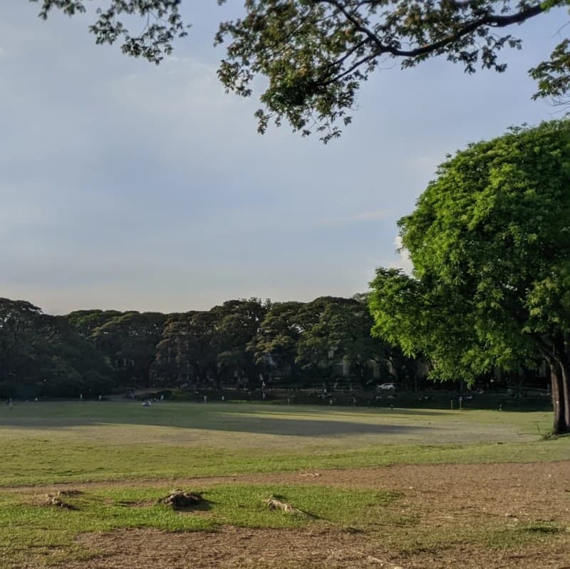 University of the Philippines Diliman photo 2