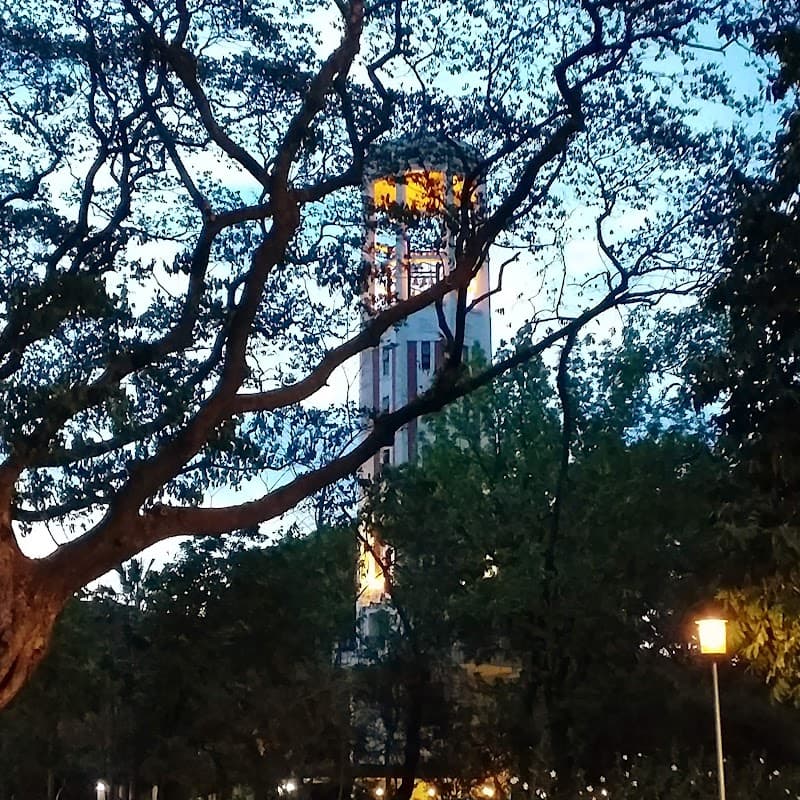 University of the Philippines Diliman photo 4