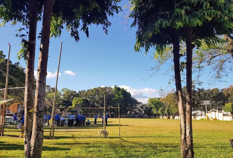 West Visayas State University photo 4