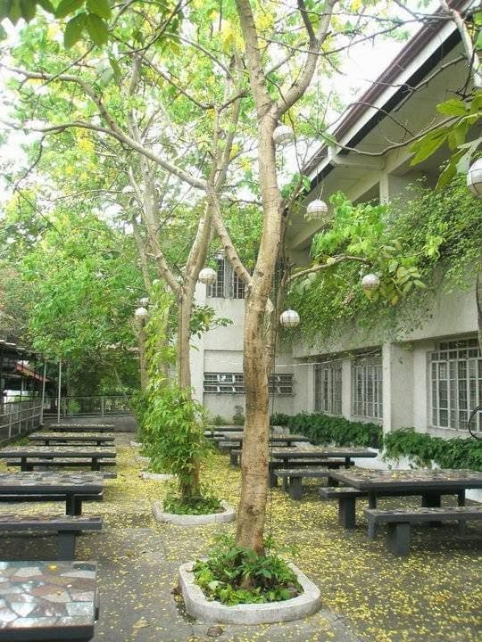 Woodridge College photo 3