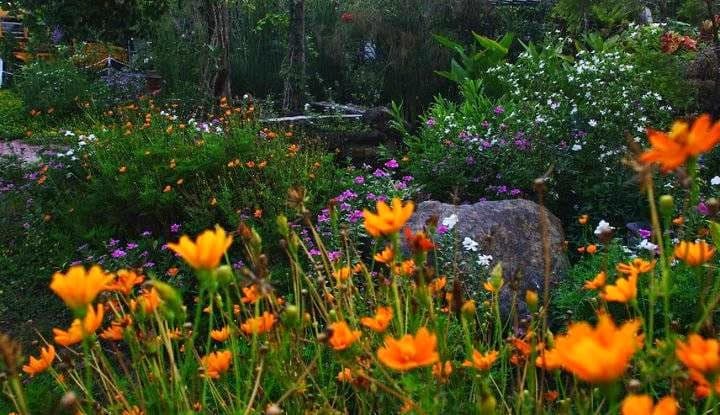 Woodridge College photo 4